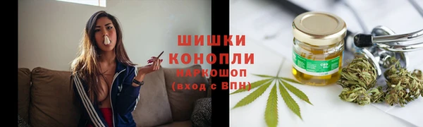 шишки Бронницы